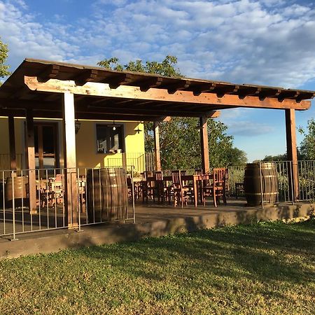 Agriturismo Petrognano SantʼEllero 外观 照片