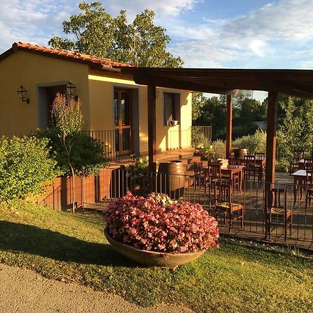 Agriturismo Petrognano SantʼEllero 外观 照片