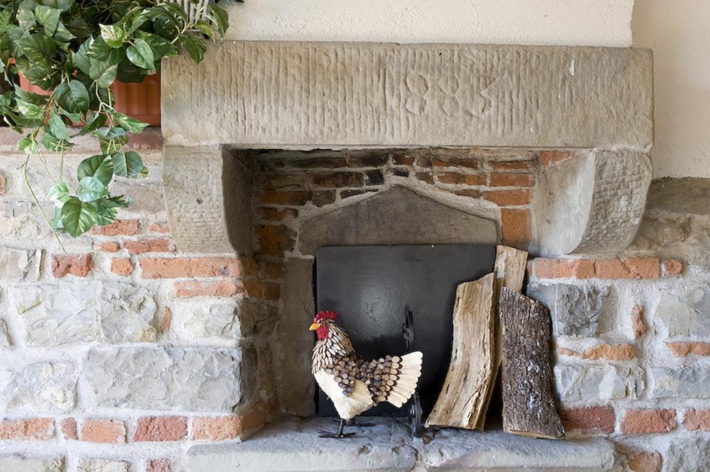Agriturismo Petrognano SantʼEllero 外观 照片